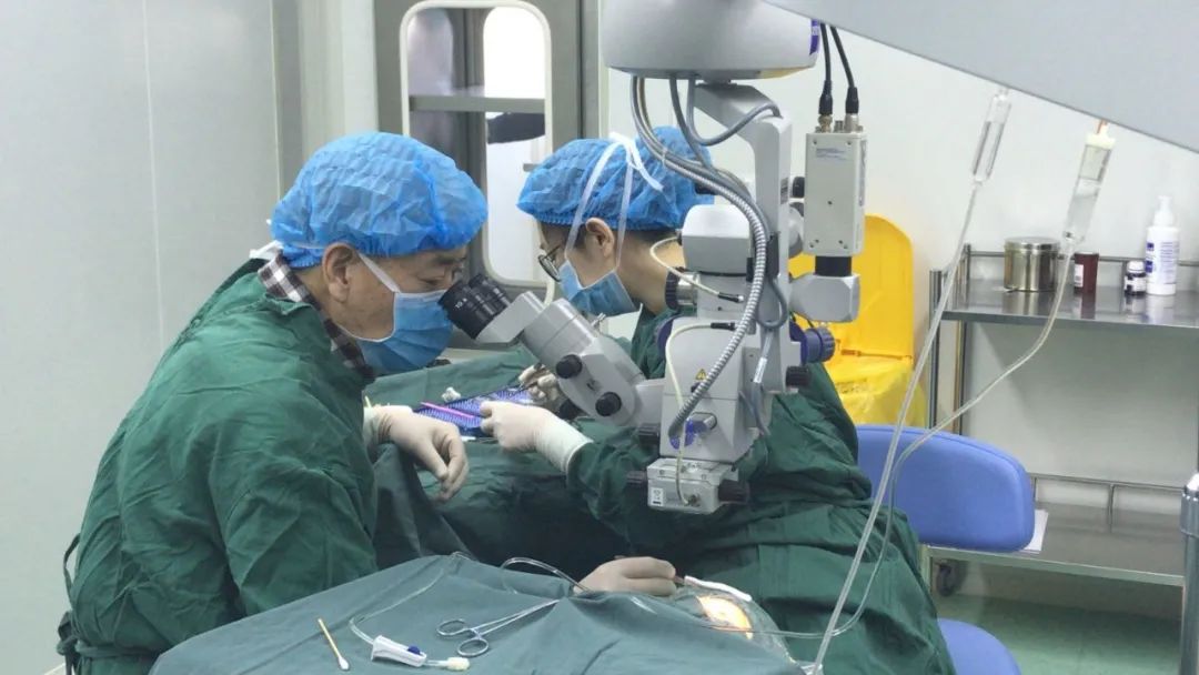 伊犁霍城县18名斜视儿童接受免费手术